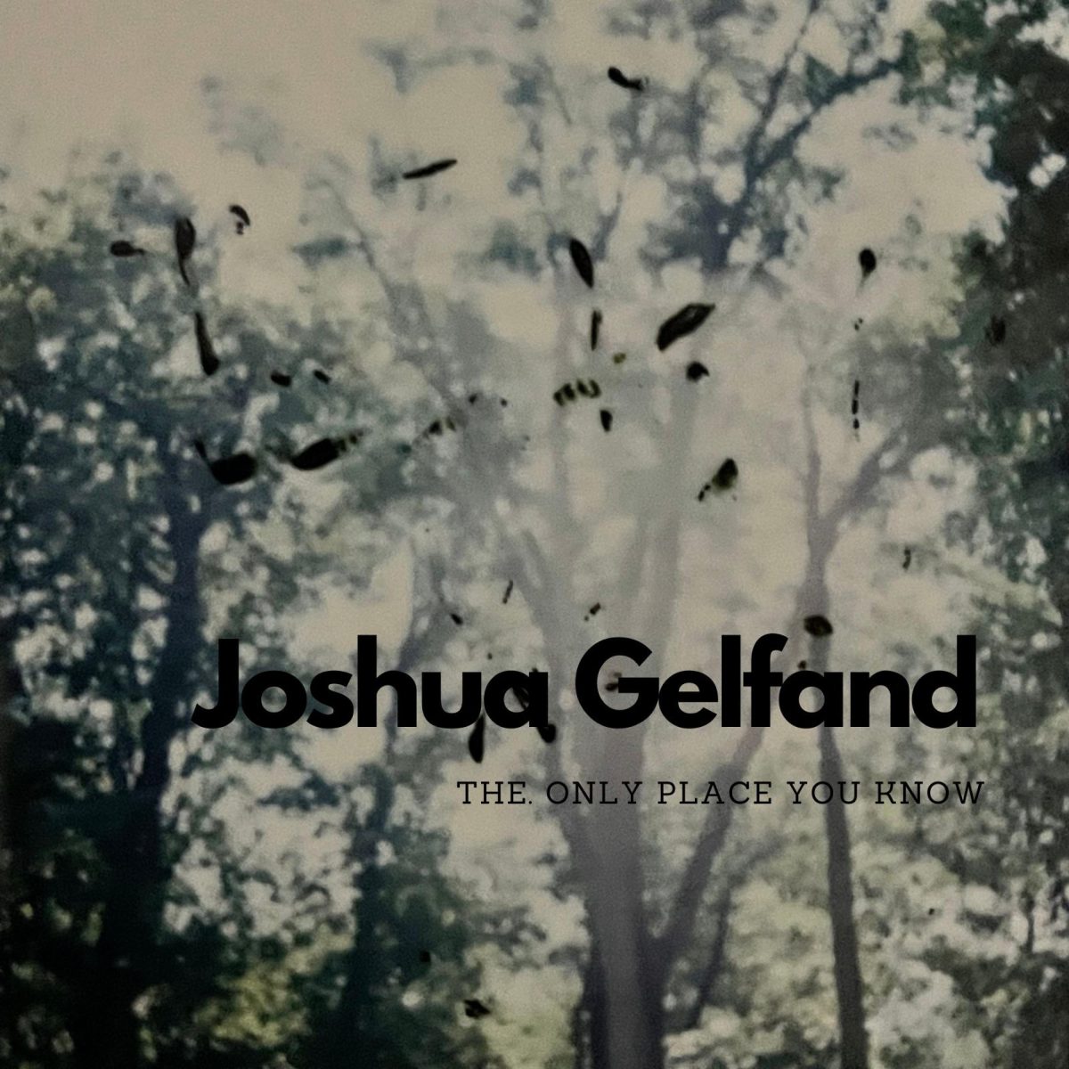Joshua Gelfand